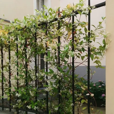 La Cour Du 5ème - D'hôtes Bed & Breakfast Parigi