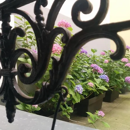 Bed & Breakfast La Cour Du 5ème - D'hôtes